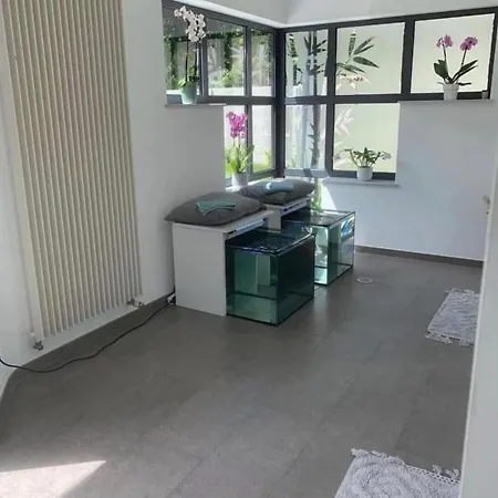 O3 Versaux * Bernissart