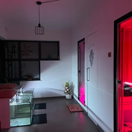 O3 Versaux * Bernissart